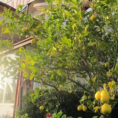 ベッド・アンド・ブレックファスト Paradiso